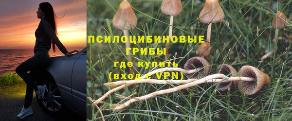 первитин Ладушкин