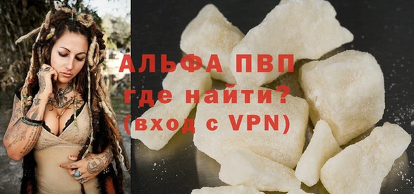 индика Дмитриев