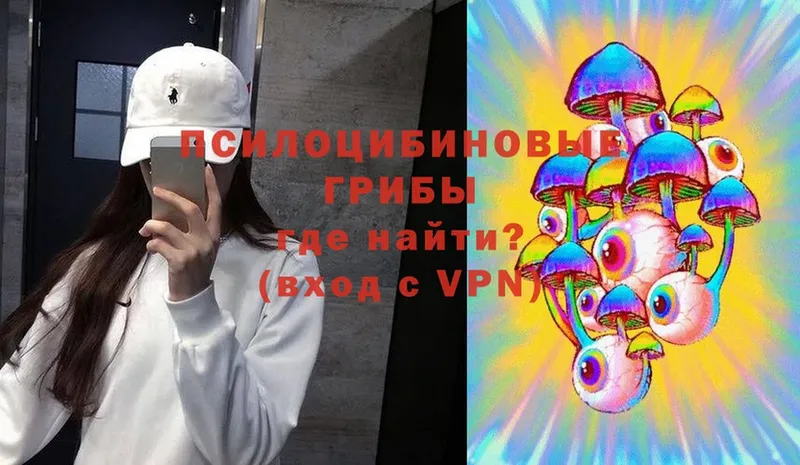 Галлюциногенные грибы Cubensis  Балтийск 