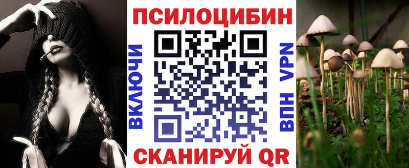 Галлюциногенные грибы мухоморы Балтийск