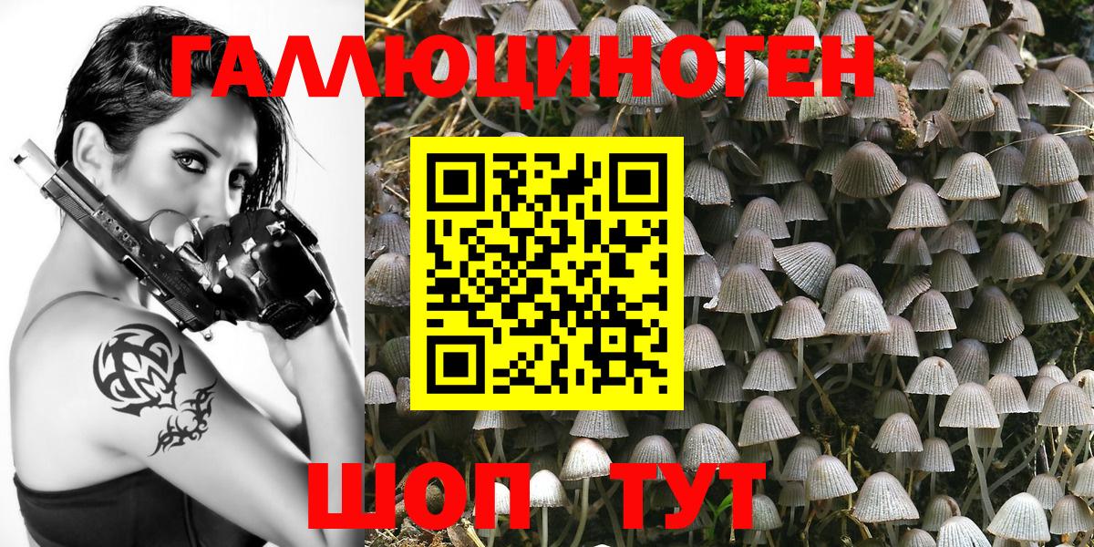 Галлюциногенные грибы Psilocybe  Вход с VPN  Балтийск 