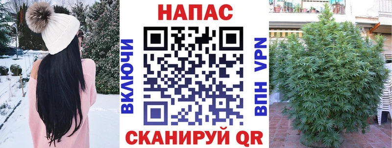 Конопля план  где найти   площадка какой сайт  Балтийск 
